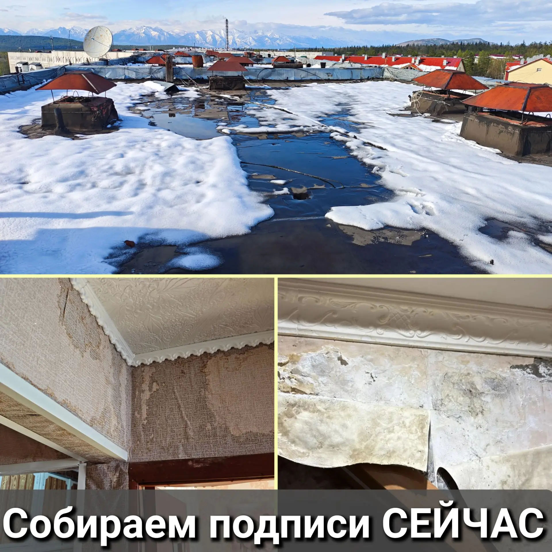 Собираем подписи СЕЙЧАС, чтобы получить скатную крышу!

📌 Прошу максимально распространить этот пос