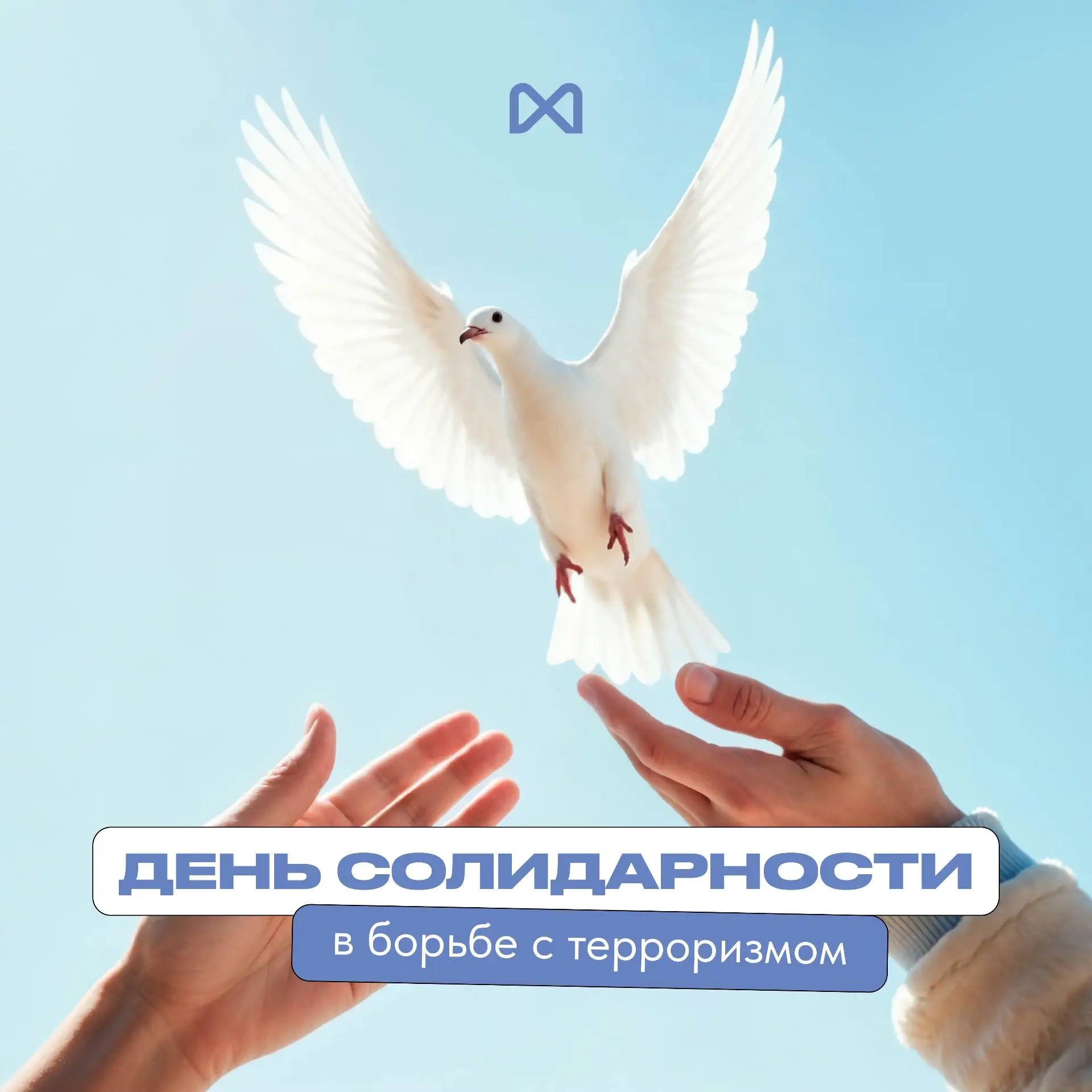 День солидарности в борьбе с терроризмом🕊️