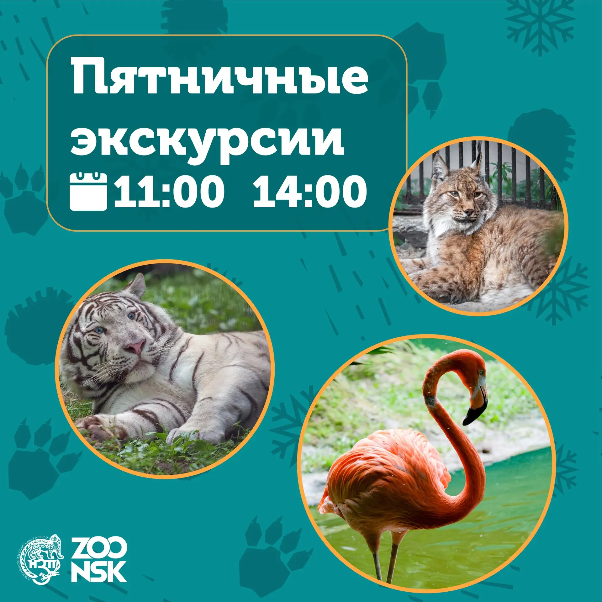 Нам было приятно проводить время с вами!