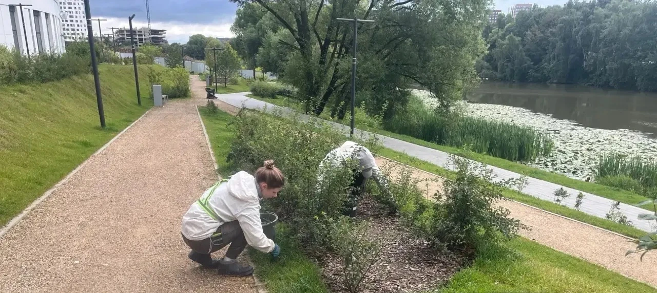 🌳Продолжаем заботиться о зелёных насаждениях на территории ЖК «Прокшино»