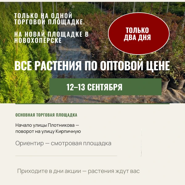 🔥 БЕСПРЕЦЕДЕНТНАЯ АКЦИЯ В НОВОХОПЁРСКЕ!