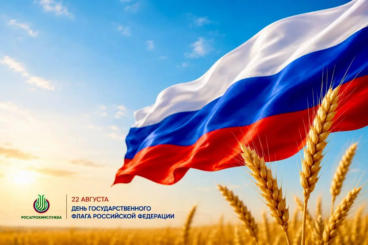 🇷🇺 С Днём Государственного флага Российской Федерации!