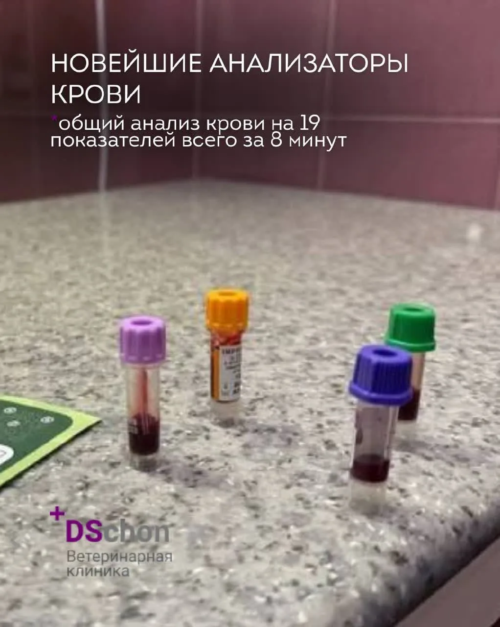Теперь результаты анализов — всего за 8 минут ⏱️🐾