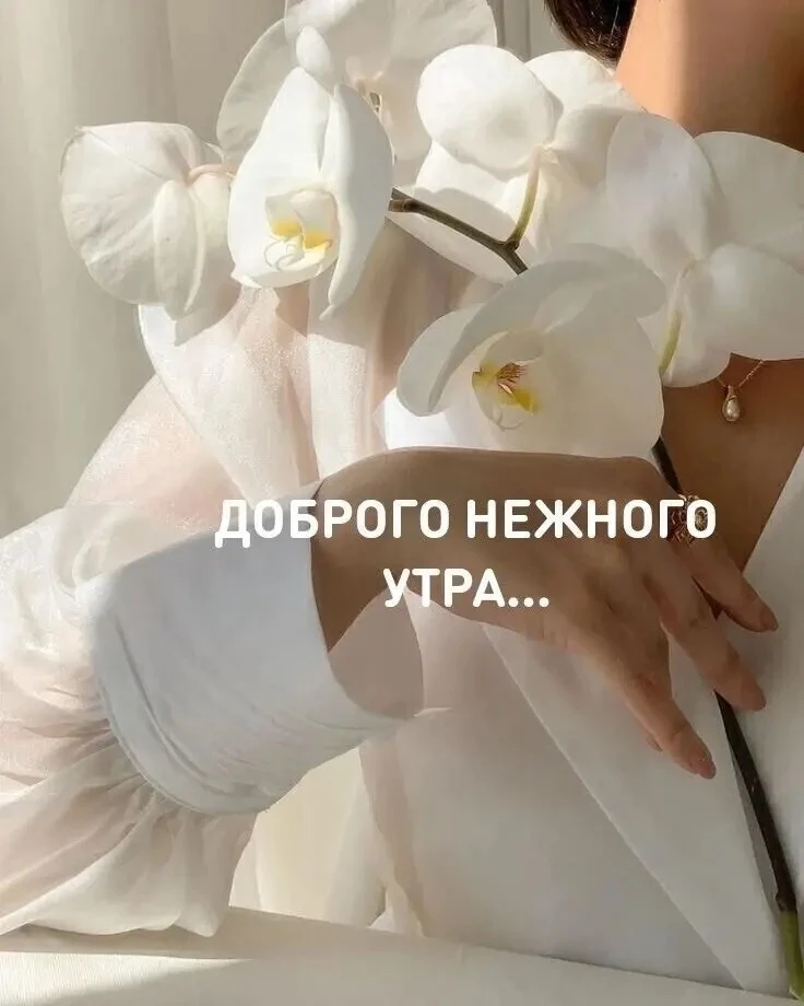 С добрым утром, красавица 🩷