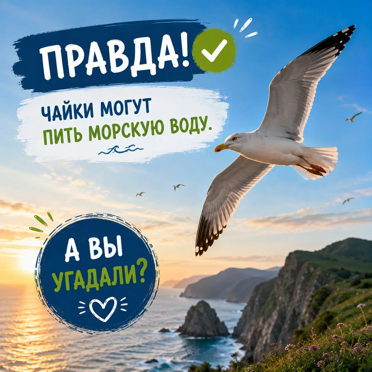 🐦 Правда раскрыта!