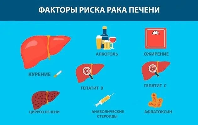 Факторы риска рака печени