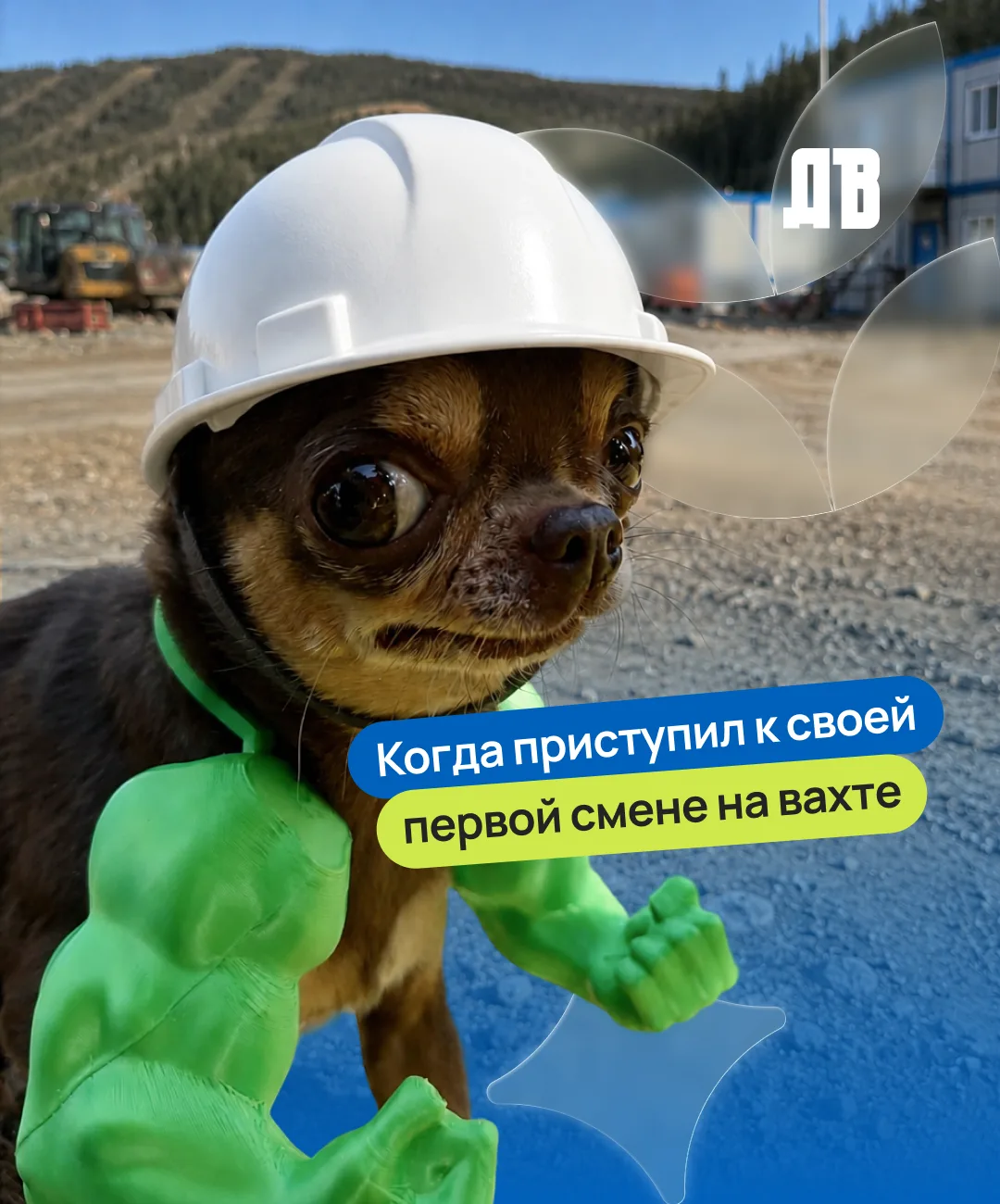 Дальний Восток — территория масштабных проектов и возможностей 💪