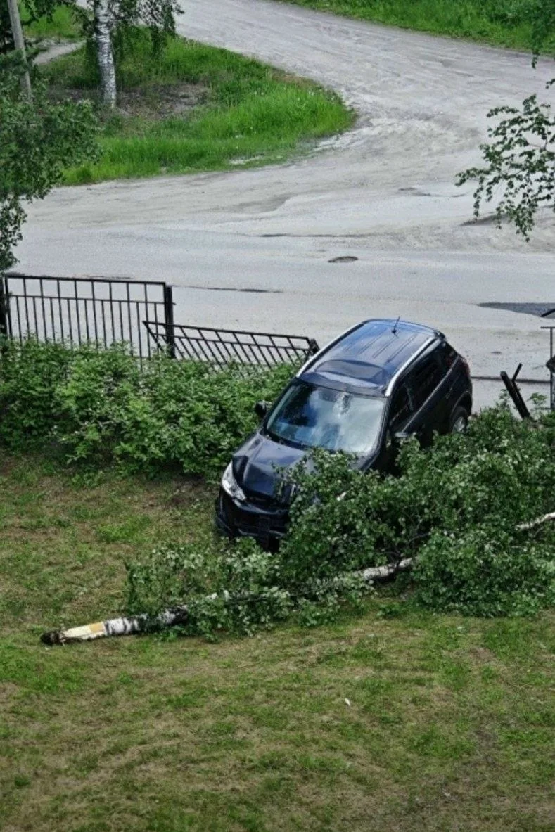 В Карелии водитель потерял сознание за рулем по пути в больницу: машина снесла забор и дерево. Это п