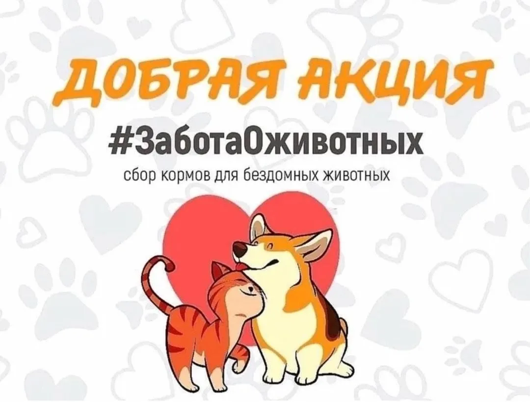 Дорогие друзья!
