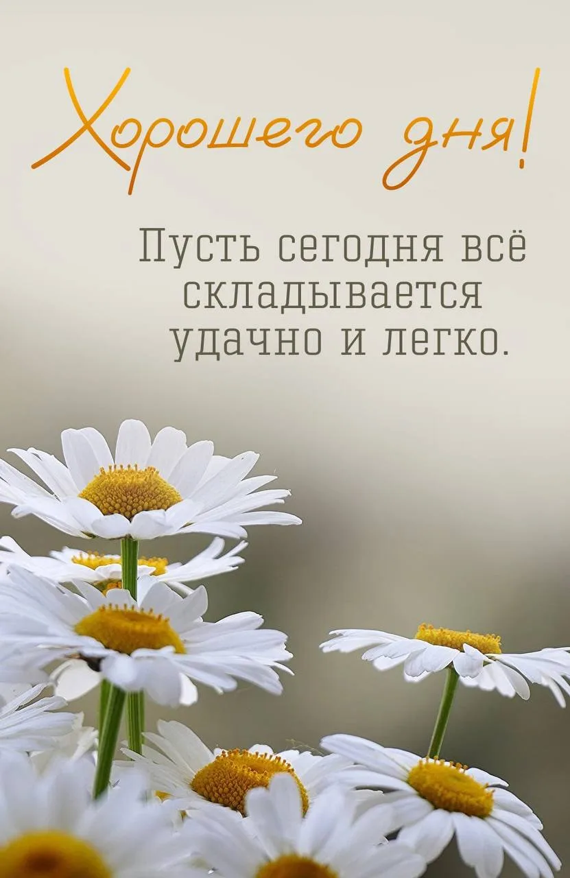 Поздравления на каждый день 🎁