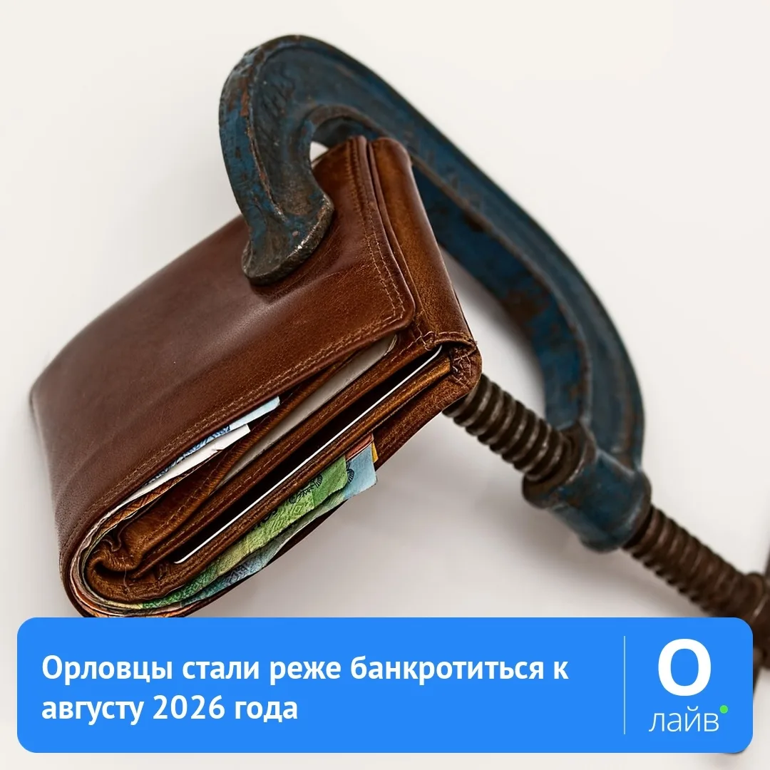 📉 Орловцы стали реже банкротиться к августу 2026 года