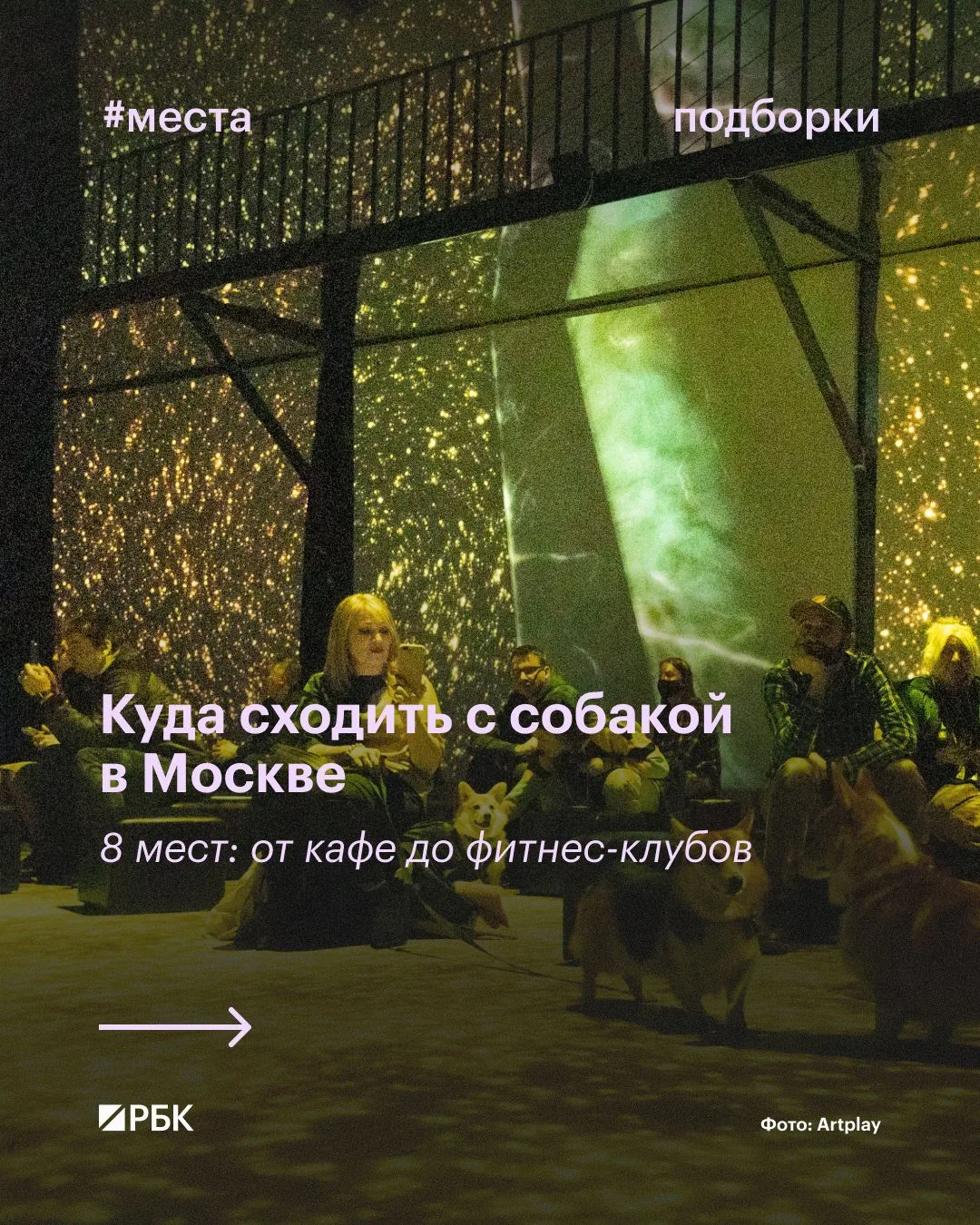#вам_точно_сюда

Во многие общественные места Москвы вход с собаками запрещен. Хозяева, которые не х