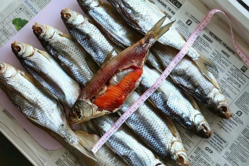 Кажется, мы совершили ошибку...