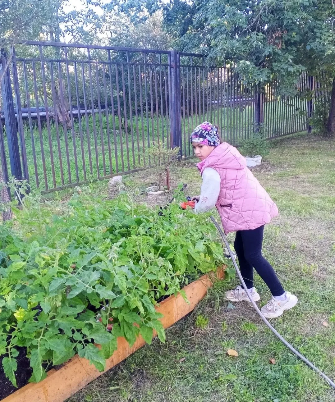 Наши труды дают плоды! 🍅🌿
