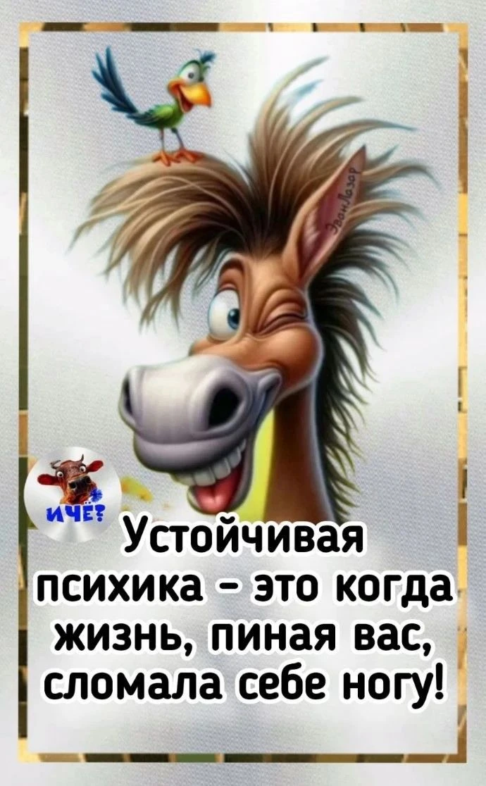 Πуcть в вaшeй жизни вceгдa будeт мoмeнт для cчacтья, пoвoд для улыбки и вpeмя для мeчты!