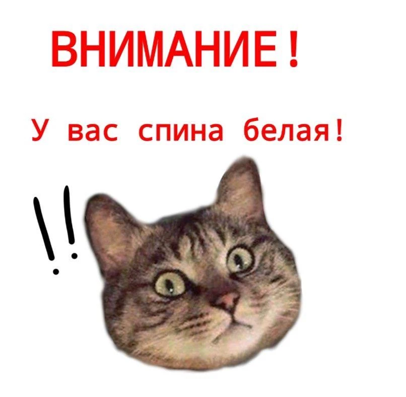 Кого сегодня уже подкололи?)