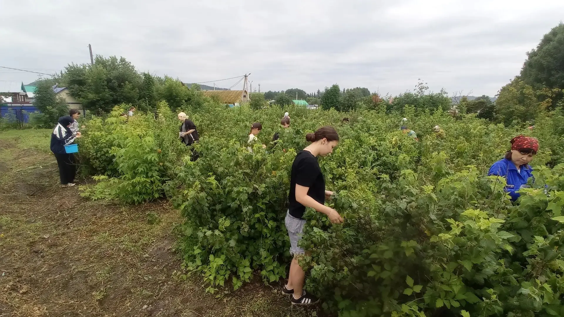 🌱 На пришкольном участке - порядок!

Ребята 8Г и 11А под руководством классных руководителей Габбас