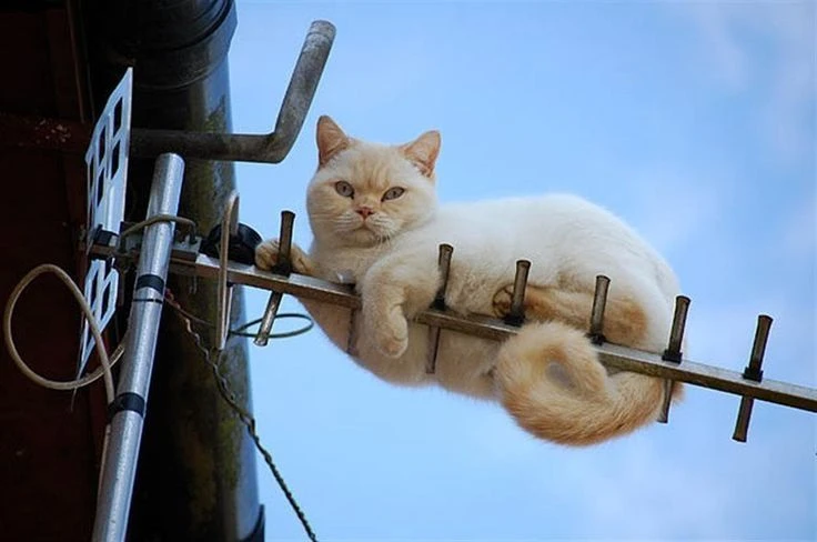 Э - эксперт в настройке