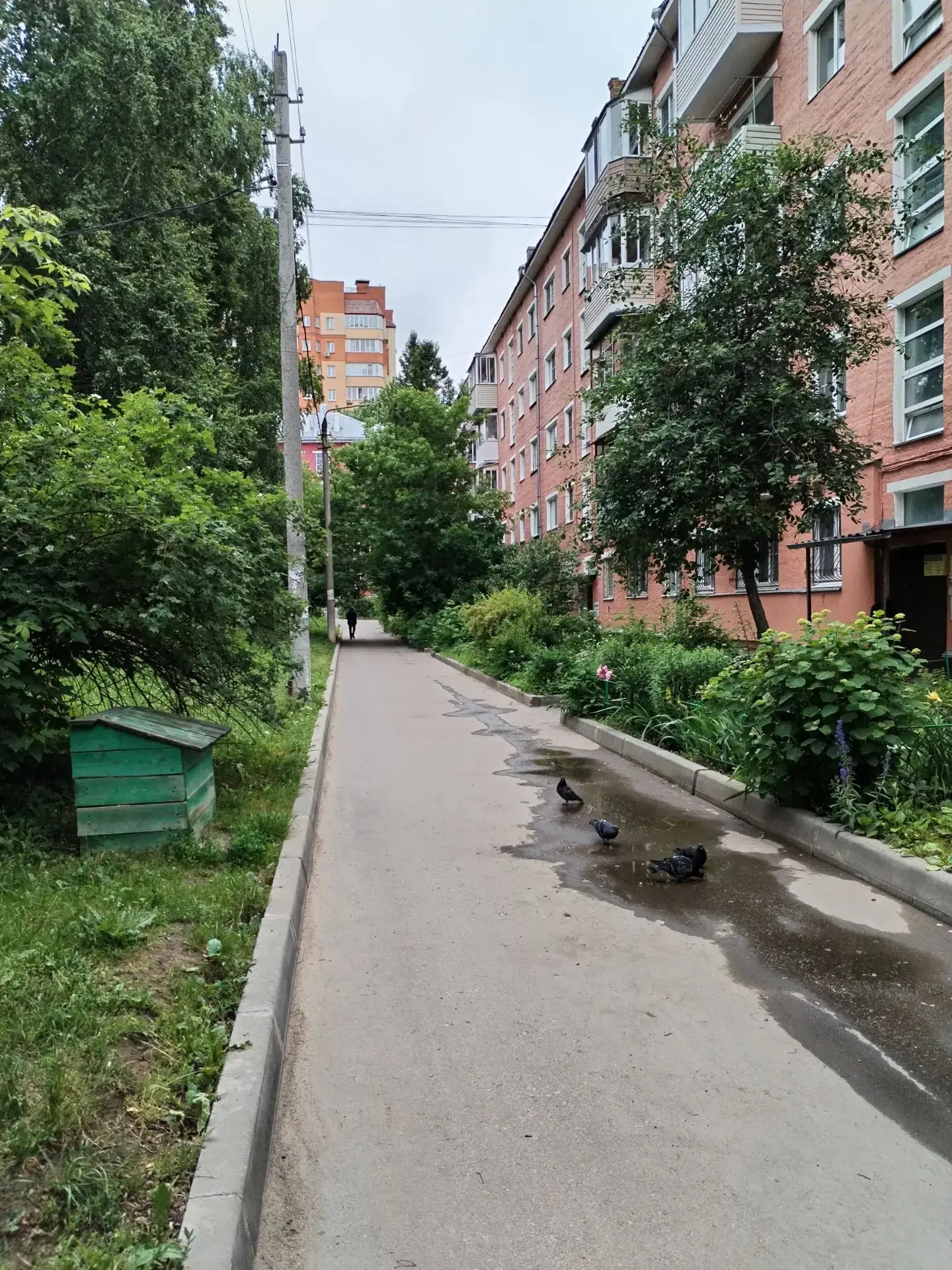 🏡 О выполненных работах по благоустройству 17.06.2026 Мезенцева 44 корпус 2

 - уборка территории
 