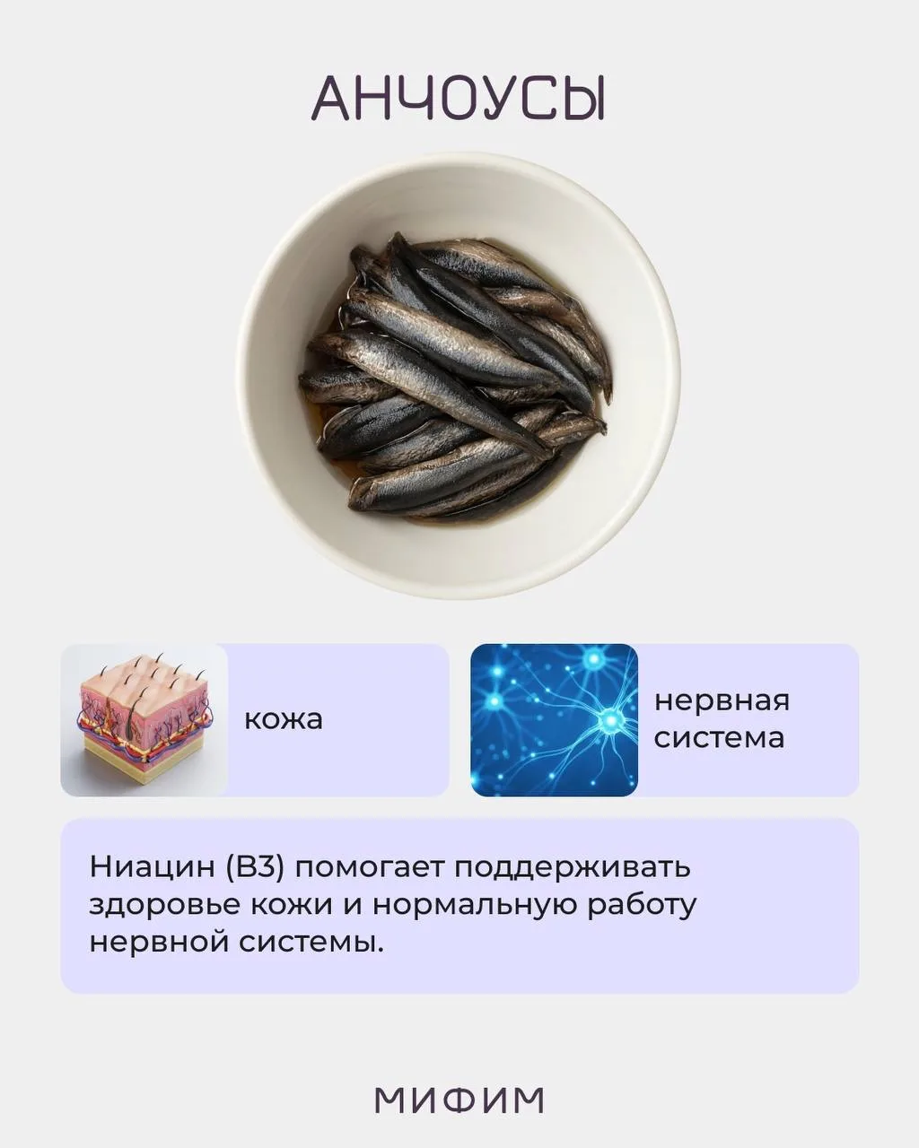 КАК ДАВНО ВЫ ЕЛИ МОРЕПРОДУКТЫ? 🦐  А ведь это настоящая кладезь белка, витаминов, минералов и жирных 