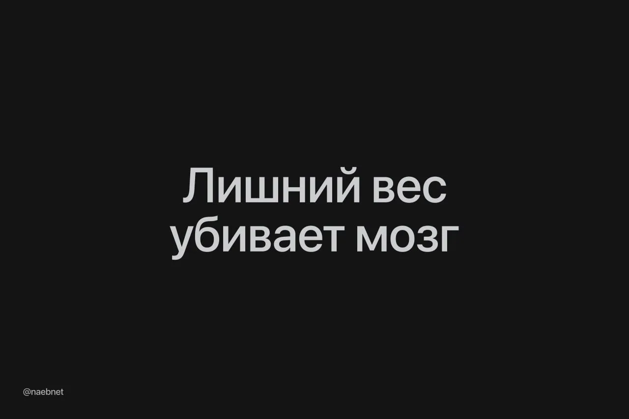 Лишний вес может приближать деменцию — жирная диета буквально ускоряет старение мозга.

В ходе экспе