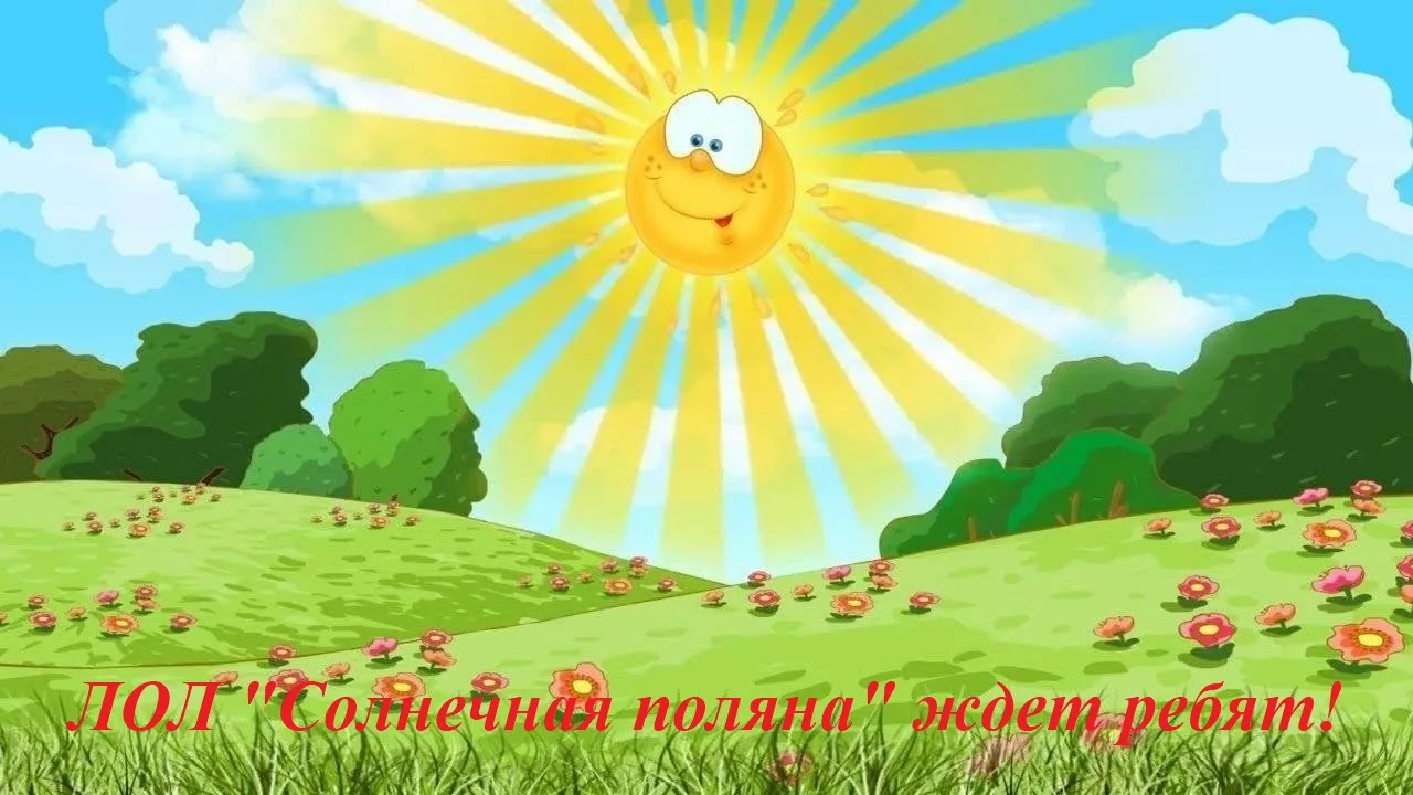 #ЛОЛ_СолнечнаяПоляна