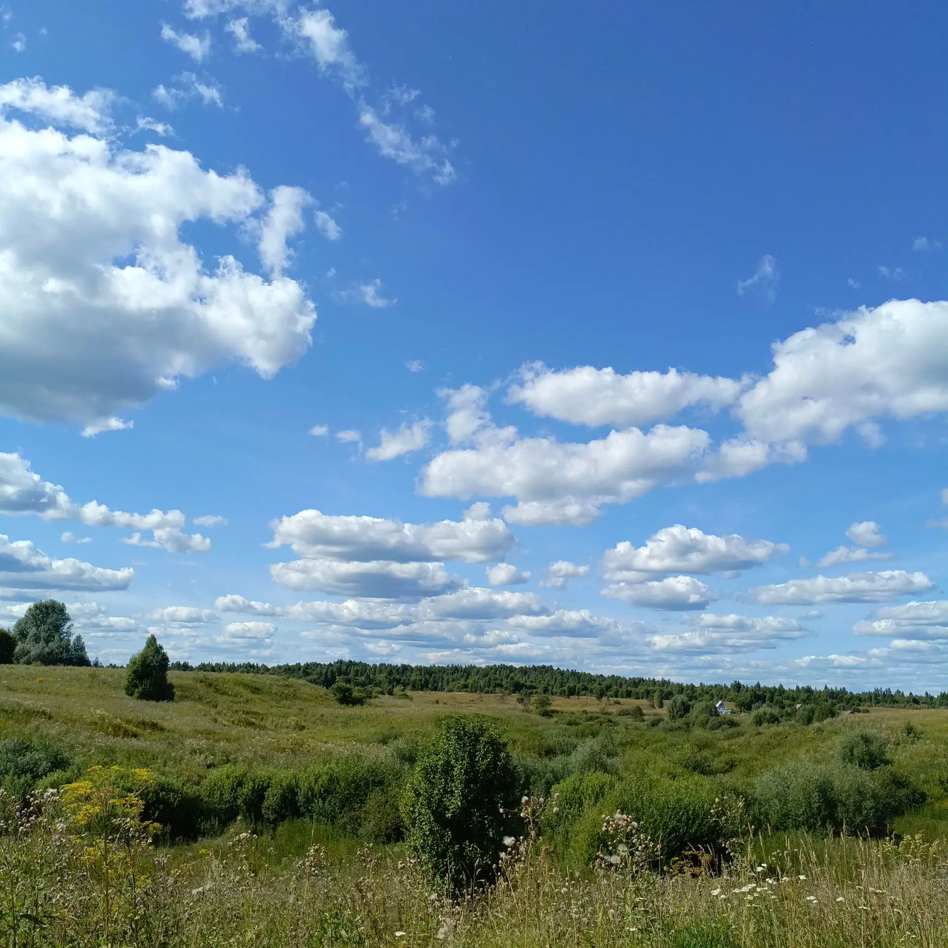 Всем замечательного дня и лета ☀️