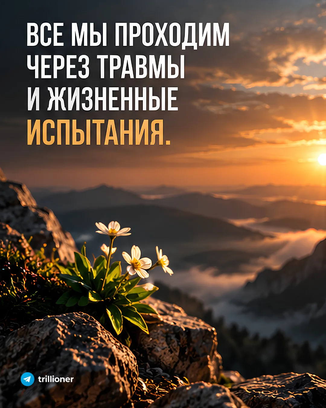 Все мы проходим через травмы и жизненные испытания. Но для одних это сплошные страдания...
