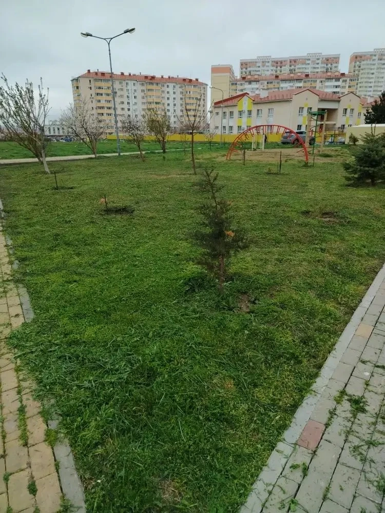 Уважаемые жители наших МКД по адресу: шоссе Супсехское🕊  🌿 Помпокос травы: забота о доме и душе  Каж