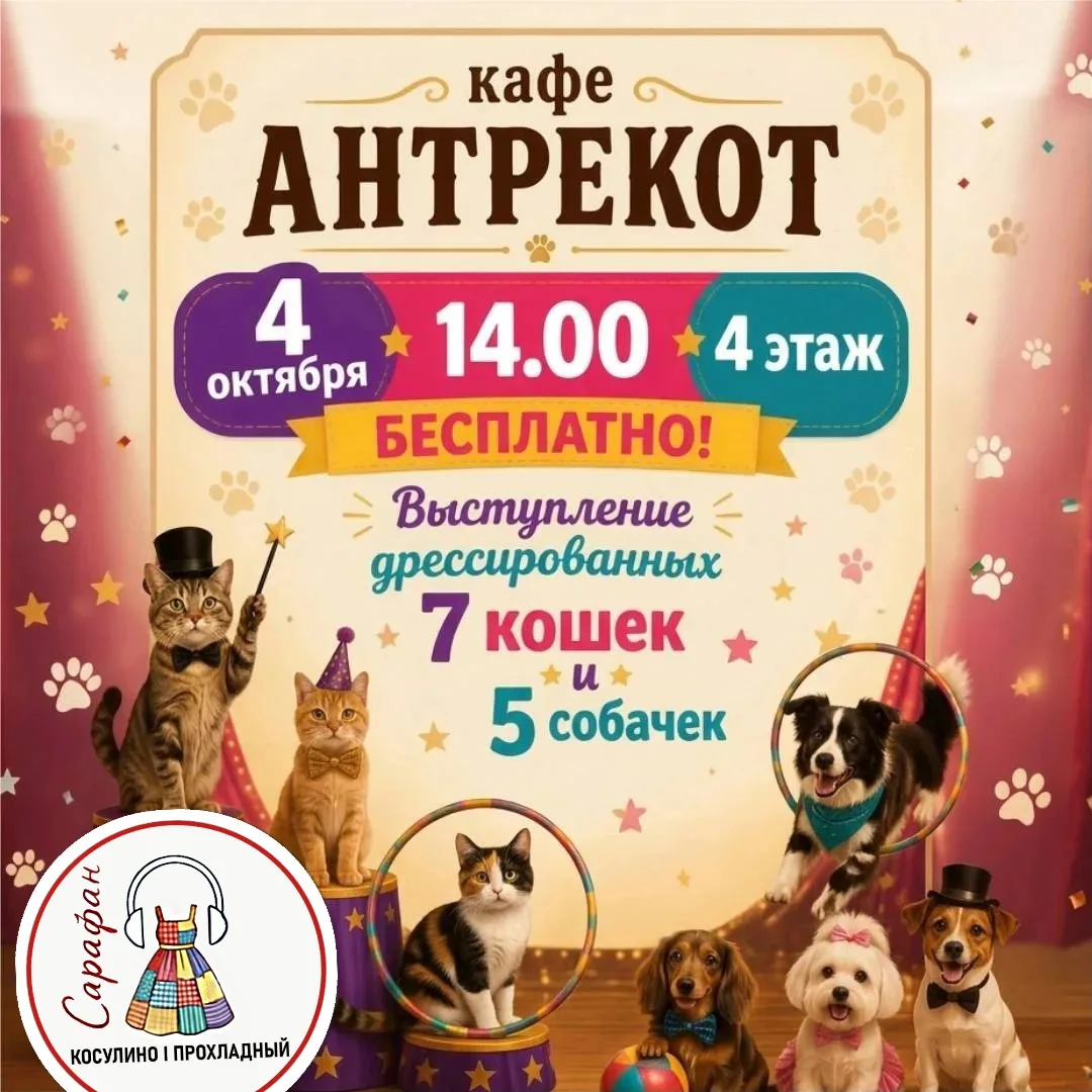 🐶🐈‍⬛4 октября в ТРЦ Фан Фан состоится выступление дрессированных кошек и собак.