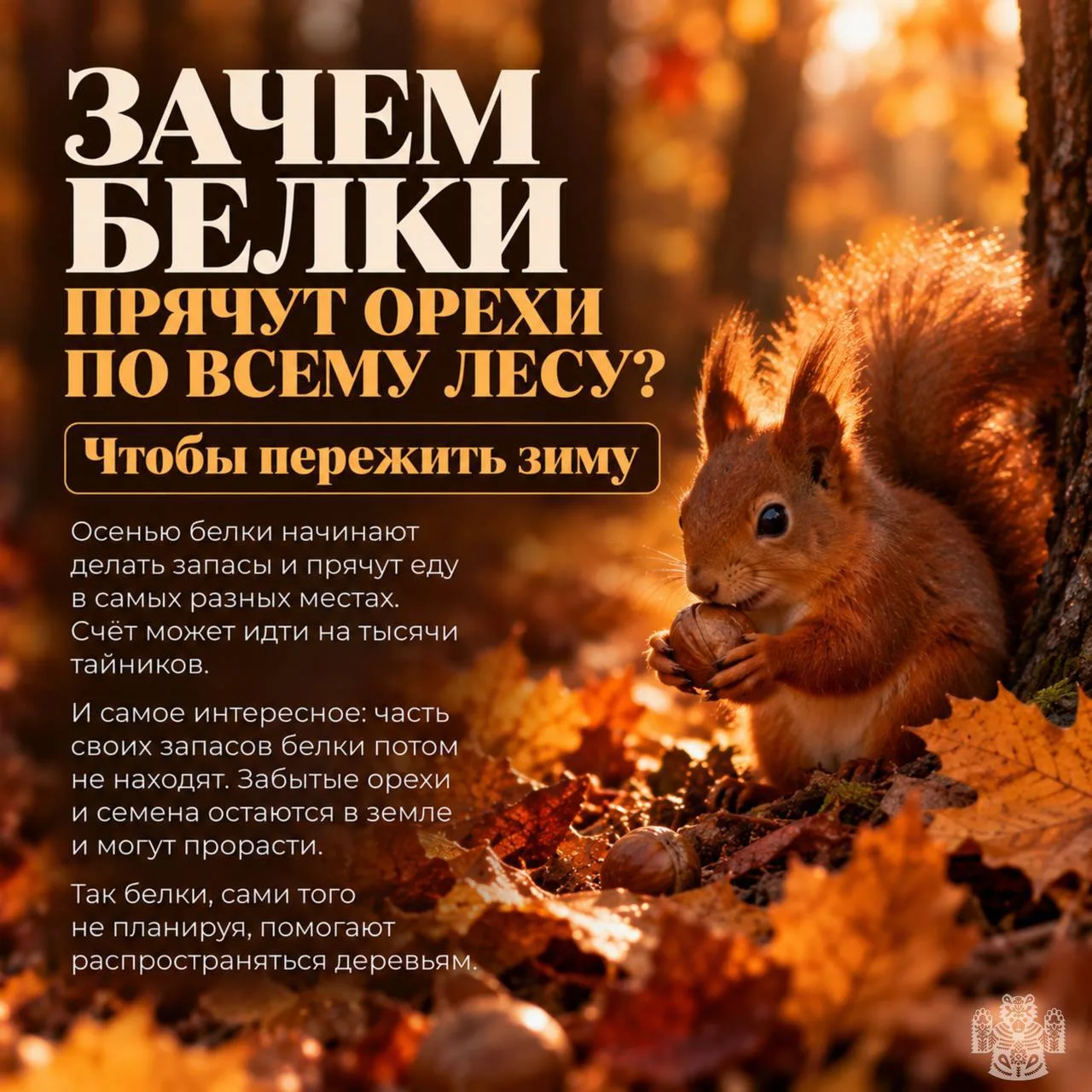 Изображение 4 к публикации «Новости Владивостока и Края»