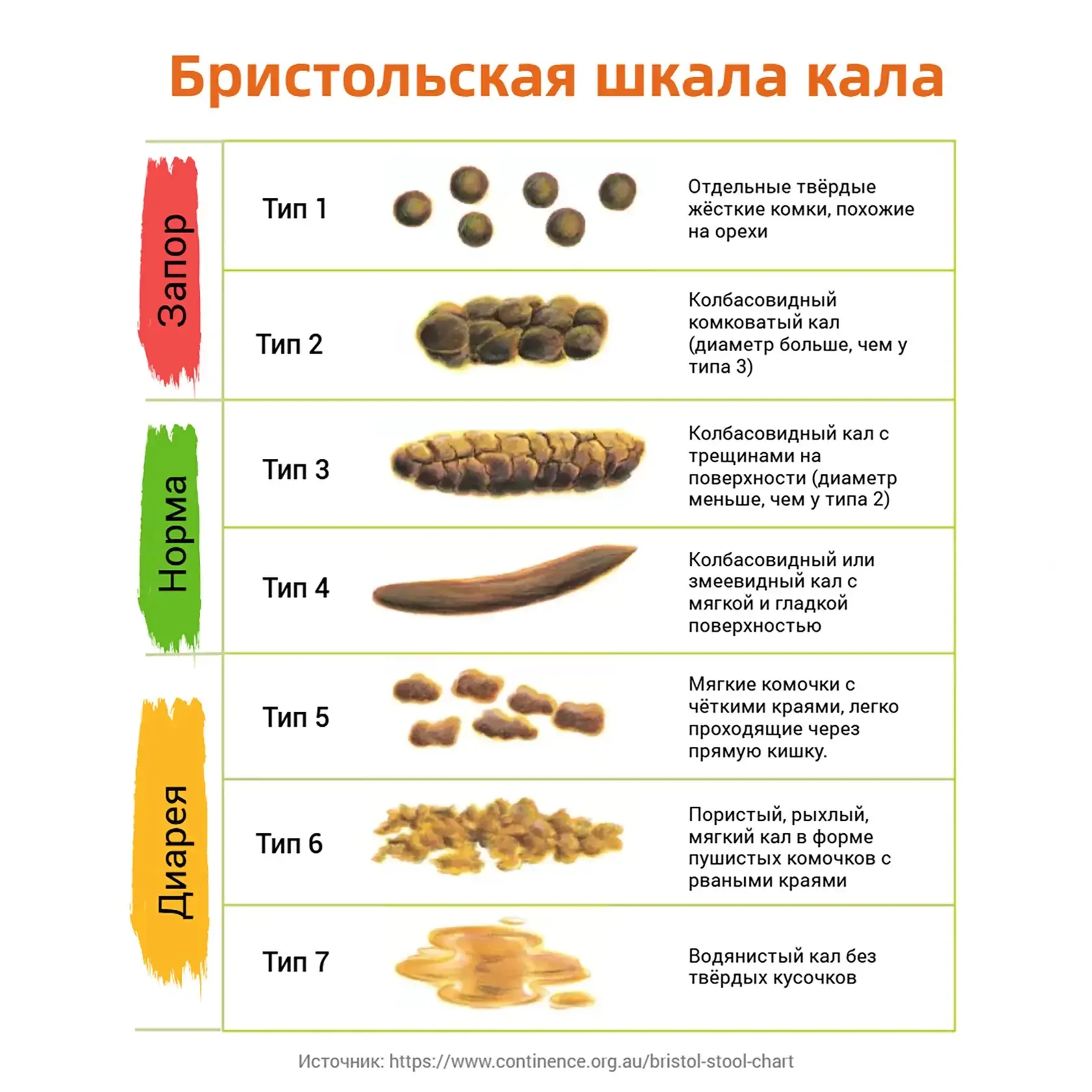 О чем молчит ваш стул?