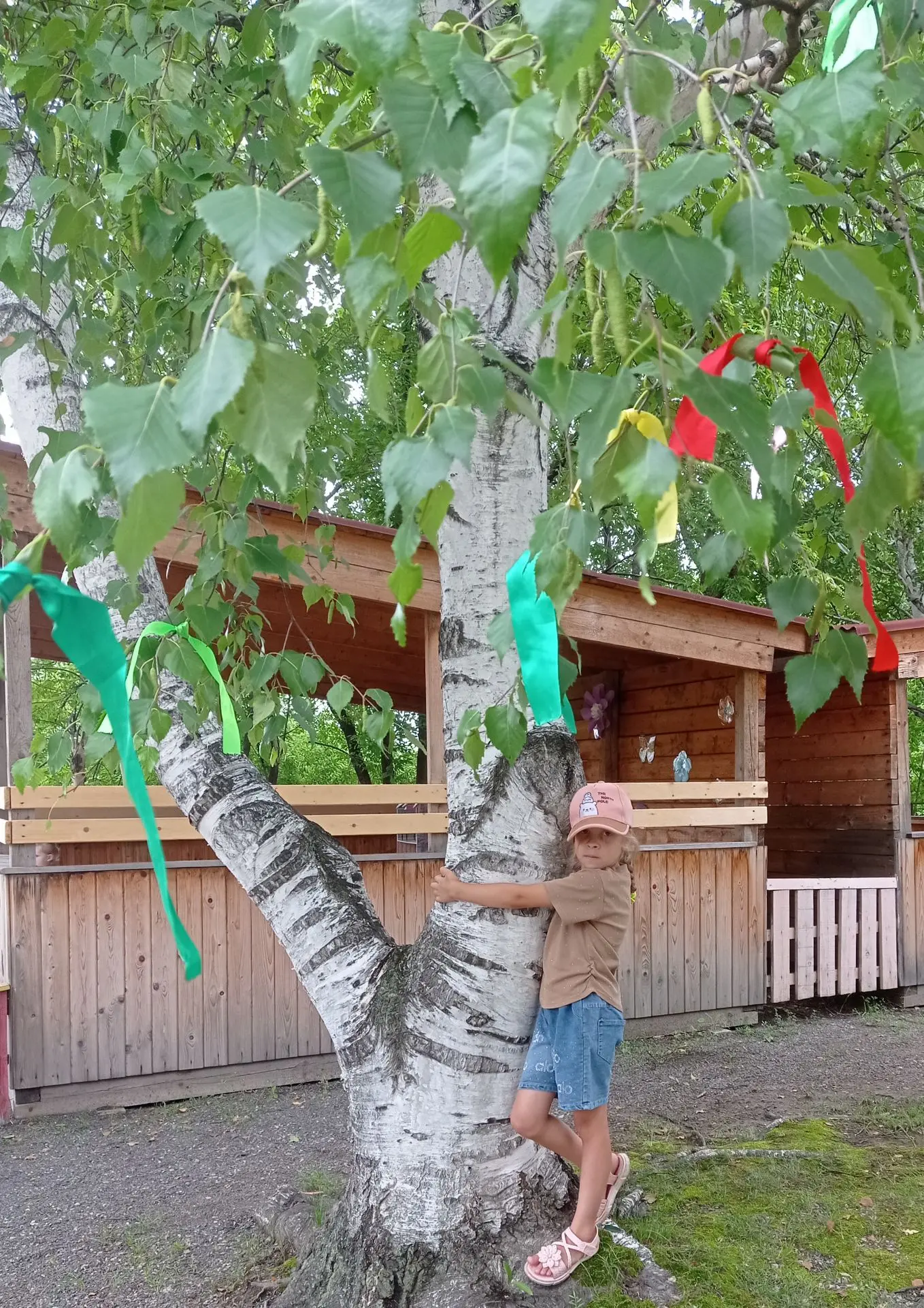 "День берёзы" прошёл сегодня в средней группе цель: привить детям любовь к родной природе через знак