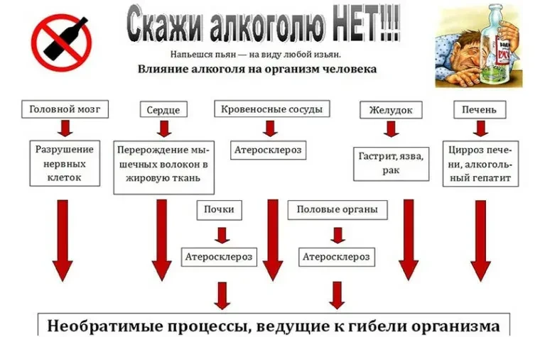 🧠 Биопсихосоциальный взгляд: почему люди тянутся к алкоголю?