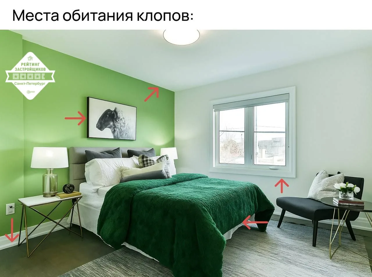 🟢 От любимых соседей ползут насекомые: как не распугать арендаторов?