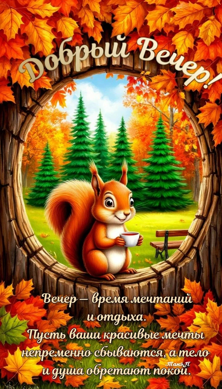 Хорошего вечера! Приятного отдыха! ✨💐