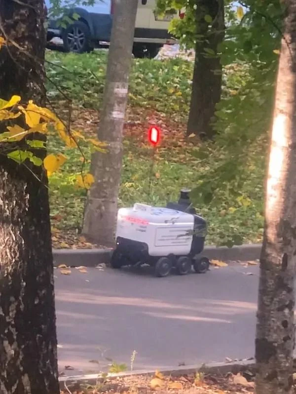 🤖 Ещё один необычный гость появился в Бибирево