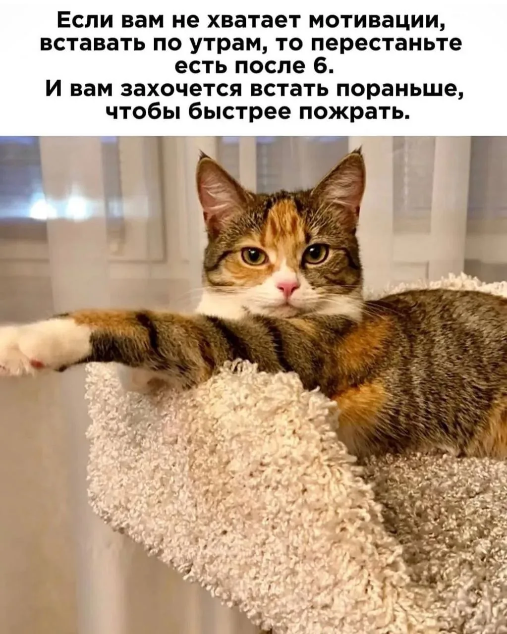 ПРУFИКИ В МАХ