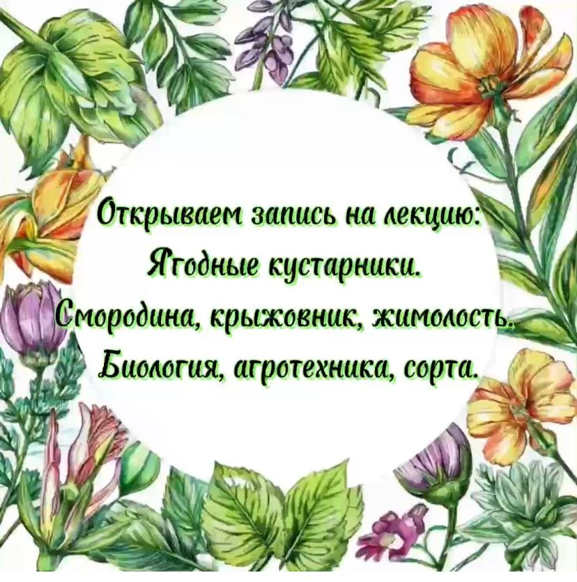 Открываем запись на первую лекцию!