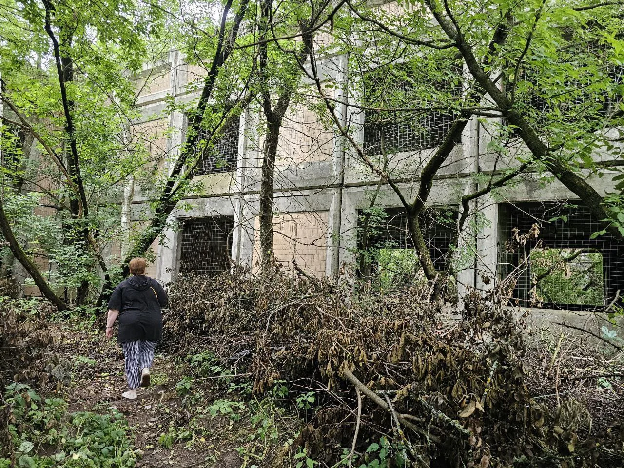 🏚️ Заброшенное здание детского сада в Петрово-Дальнем снесут до конца года

Об этом сообщили на зас