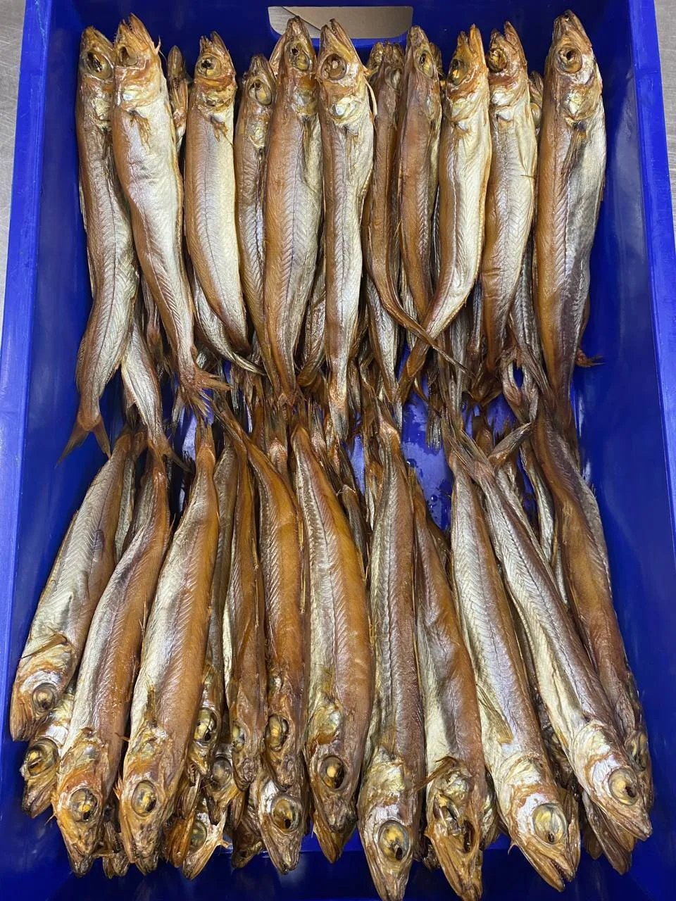 ✨ПУТАССУ СЕВЕРНАЯ
НЕРАЗДЕЛАННАЯ ХОЛОДНОГО КОПЧЕНИЯ🥰

ПРОДУКЦИЯ ОХЛАЖДЕННАЯ

Фасовка - 2 кг./уп.

КО
