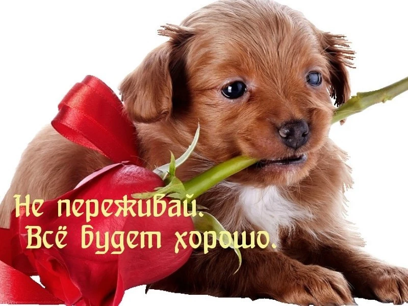 Список качественных каналов в МАКС | Смотреть ❤️