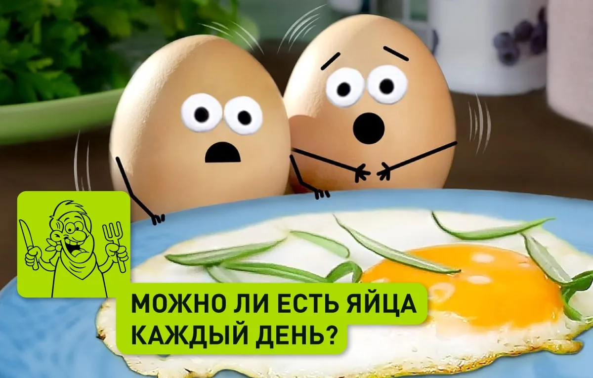 С одной стороны, яйца содержат целый спектр необходимых организму питательных веществ: ...