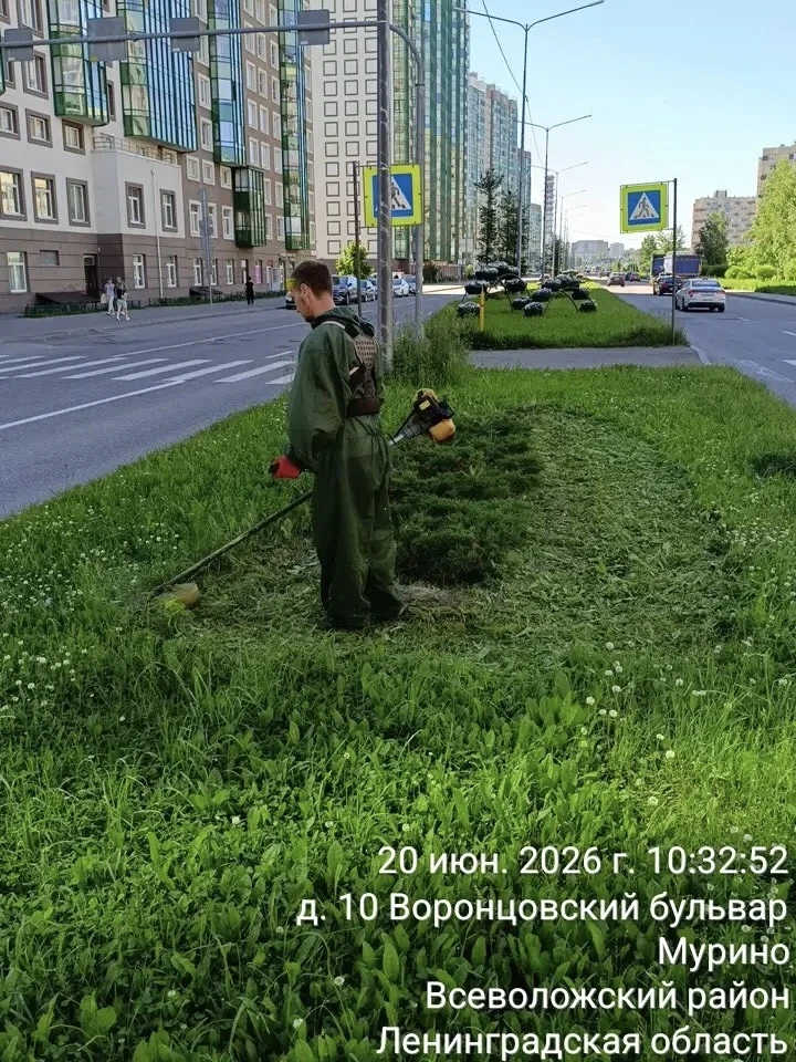 ✅ОТЧЁТ о выполненных работах по уборке и содержанию территории Муринского городского поселения, за в