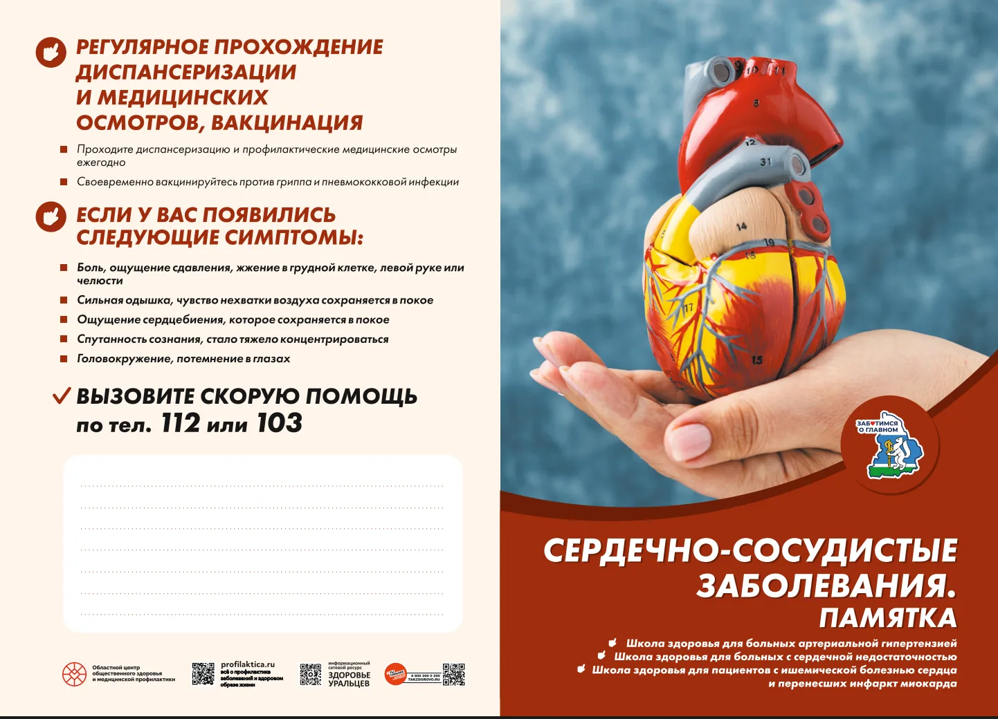 Сердечно-сосудистые заболевания: памятка