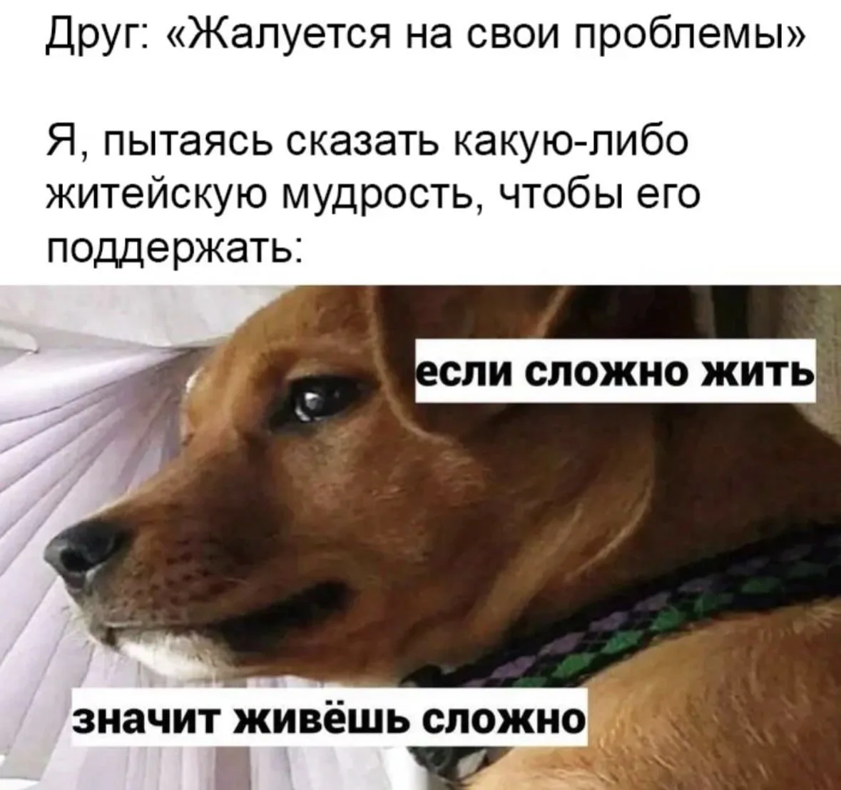 Факт!