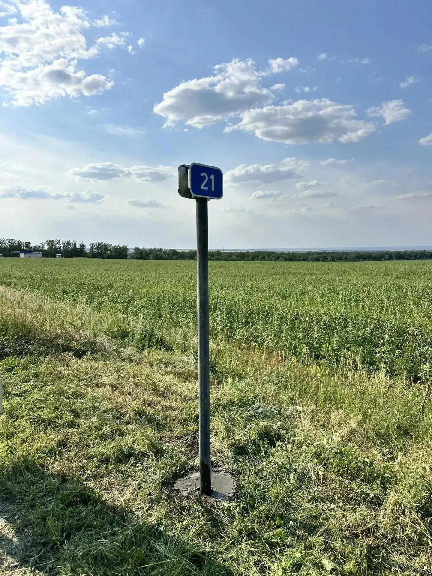 🛣️ Точность на каждом километре!