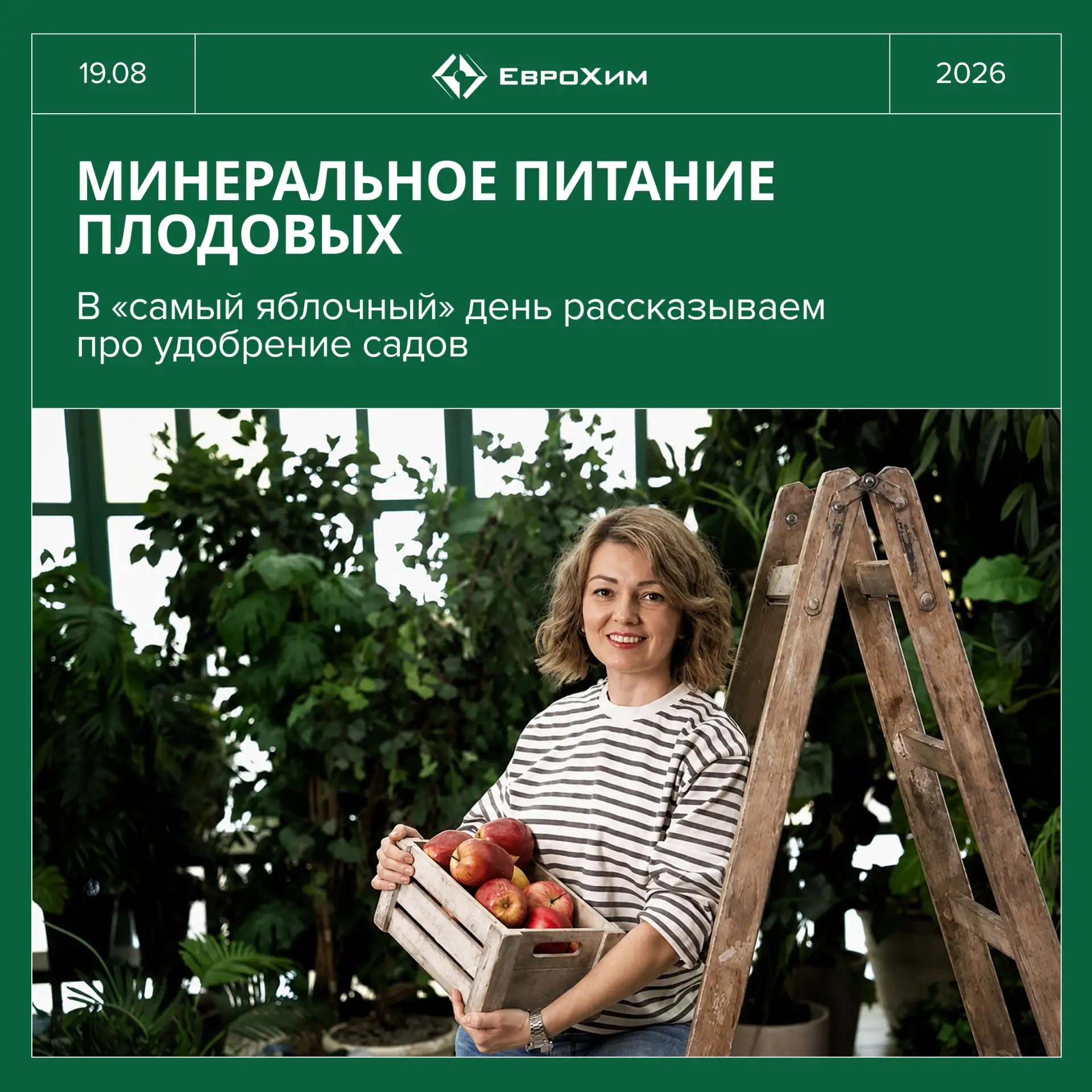 🍏 Яблоко от яблони: как подкармливать плодовые сады, чтобы получить хороший урожай