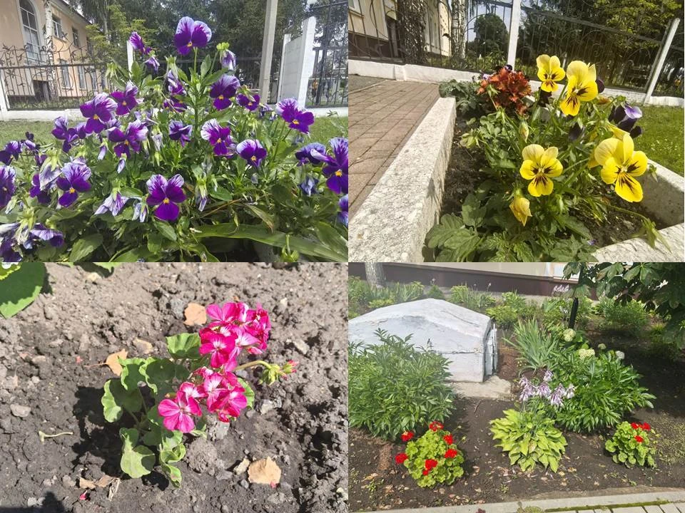 🎉 Санитарная пятница в районном Доме культуры! 🎉 
Сегодня наши замечательные сотрудники провели са