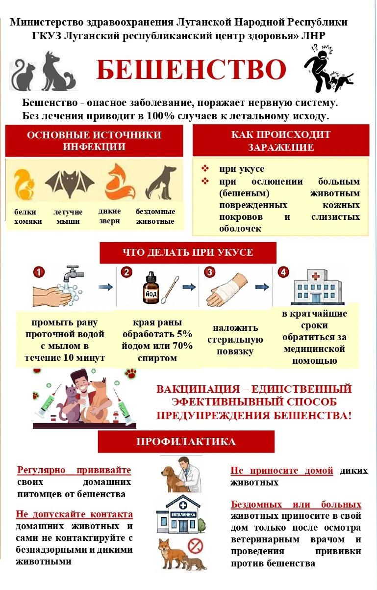 🦔 🐕 Осторожно - бешенство!